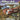 Gamecube-Mercedes-Benz World Racing Tweedehands
