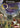 Gamecube-Odama Tweedehands