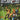 Gamecube-Outlaw Golf Tweedehands