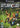 Gamecube-Outlaw Golf Tweedehands
