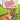 Gamecube-Piglet's Big Game Tweedehands