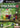 Gamecube-Pikmin 2 Tweedehands
