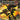 Gamecube-Shadow the Hedgehog Tweedehands