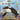 Gamecube-Shamu's Deep Sea Adventures Tweedehands