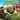Gamecube-Shrek Smash n' Crash Racing Tweedehands