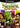 Gamecube-Shrek Super Party Tweedehands