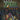Gamecube-The Legend of Zelda: Four Swords Adventures Tweedehands