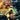 Gamecube-Wallace & Gromit in Project Zoo Tweedehands