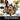 Playstation 1-Hugo: Black Diamond Fever Tweedehands