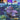 Playstation 1-In the Hunt Tweedehands