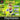 Playstation 1-Rayman Junior Level 2 Tweedehands