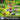Playstation 1-Rayman Junior Level 3 Tweedehands