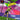 Playstation 1-V Tennis Tweedehands