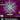 Playstation 1-Who Wants to Be A Millionaire 2nd Edition Tweedehands