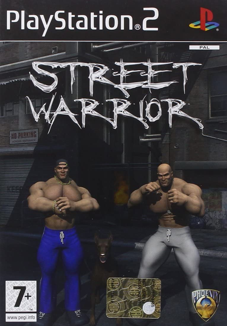 Playstation 2-Street Warrior Tweedehands