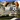 Playstation 2-This is Soccer 2005 Tweedehands