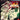 Playstation 3-Guilty Gear Xrd: Revelator Tweedehands