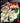 Playstation 3-Guilty Gear Xrd: Revelator Tweedehands