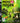 Playstation 3-Mini Ninjas Tweedehands