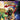 Playstation 3-Monkey Island Special Edition Collection Tweedehands