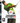 Playstation 3-Tiger Woods PGA Tour 09 Tweedehands