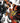 Playstation 3-Ultra Street Fighter IV Tweedehands