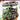 Playstation 3-World of Outlaws: Sprint Cars Tweedehands