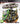 Playstation 3-World of Outlaws: Sprint Cars Tweedehands