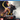 Playstation 4-Nioh 2 Tweedehands
