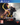Playstation 4-Nioh 2 Tweedehands