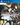 Playstation 4-Steins Gate Elite Tweedehands