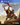 Playstation 4-Titan Quest Tweedehands
