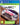 PlayStation 4-WRC 5 - Esports Edition Tweedehands