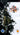 PSP-Shinobido: Tales of the Ninja Tweedehands