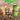 Switch-Oddworld: Munch's Oddysee Tweedehands