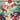 Switch-Potion Permit Tweedehands