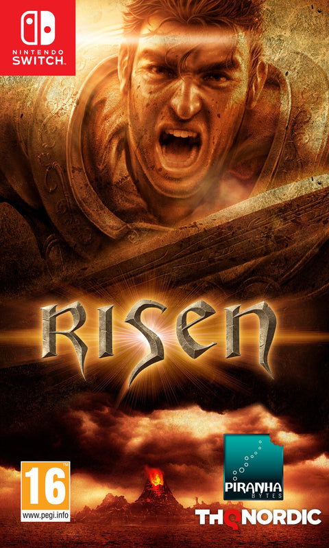 Switch-Risen Tweedehands