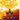 Switch-Steredenn: Binary Stars Tweedehands