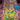 Switch-Teenage Mutant Ninja Turtles: Shredder's Revenge Tweedehands
