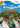 Wii-Kawasaki Jet Ski Tweedehands