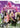 Wii-My Horse Club Op Zoek Naar de Mooie Appaloosa Tweedehands