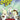 Wii-Order Up! Tweedehands