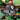 Wii-Pool Hall Pro Tweedehands