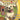 Wii-Puppy Luv Tweedehands