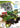 Wii-Sprint Cars Tweedehands