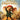 Wii-The Tale of Despereaux Tweedehands
