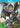Wii U-Monster Hunter 3 Ultimate Tweedehands