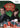 Wii-World Championship Poker featuring Howard Lederer: All-In Tweedehands