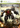 Xbox 360-Front Mission Evolved Tweedehands
