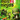 Xbox 360-Mini Ninjas Tweedehands